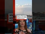 What are 'fire clouds' and how can it spread wildfires? #Wildfires #France #Spain #BBCNews