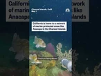 California weighs increasing marine protections as federal fishing restrictions are rolled back