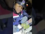 Único sobrevivente: Vídeo mostra resgate emocionante de pássaro após terremoto na Venezuela