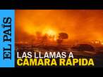 INCENDIOS EN CALIFORNIA | Time lapse de los destrozos que dejan las llamas a su paso por Los Ángeles