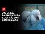 Zoo de São Paulo inaugura exposição com Ararinha-azul | CNN PRIME TIME