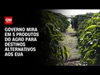 Governo Federal foca em 5 produtos do agro para destinos alternativos aos EUA | LIVE CNN