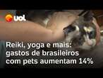 Brasileiros gastaram R$ 68 milhões com pets em 2023; serviços vão de banhos a terapias especiais