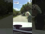 Florida teenager on e-scooter slams into deputy’s patrol car