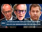 DEUTSCHLAND: Zerreißprobe für die Koalition! Experte warnt! Spaltet die AFD jetzt Union und SPD?