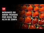 Buscas por "morango do amor" cresceram 1333% em uma semana | AGORA CNN