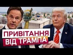 ЦЕ ВАРТО ПОЧУТИ! Трамп особисто привітав українців з Днем Незалежності. Емоційні заяви лідерів ЄС