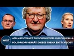 AFD: Machtkampf zwischen Weidel und Chrupalla! Polit-Profi verrät! Dieses Thema entscheidet!
