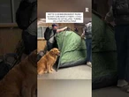 I residenti di Kiev si rifugiano nelle stazioni della metropolitana