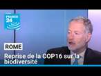 COP16 sur la biodiversité : à Rome, le financement au centre des négociations • FRANCE 24