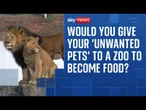 The Zoo where people can donate their 'unwanted pets' to become 'food for predators'