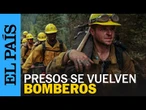 ESTADOS UNIDOS | Prisioneros de Washington se entrenan como bomberos | EL PAÍS