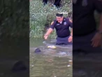 Fort Worth police RESCUE missing child from river #shorts #us #news #foxnews