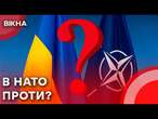 ️ 7 країн-членів НАТО УПИРАЮТЬСЯ запрошенню України в АЛЬЯНС! Хто і чому ПРОТИ ЦЬОГО?