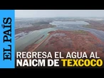 México | Regresa el AGUA al área donde se construía el AEROPUERTO de Texcoco | EL PAÍS