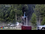 Bull bison charges Yellowstone tourist, flipping him into the air
