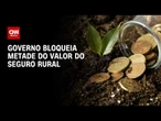 Governo bloqueia metade do valor do seguro rural em 2026 | CNN AGRO NEWS