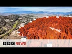 Can new technology help detect wildfires? | BBC News
