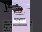 Minor league baseball team breaks record for most hot dogs dropped in an hour from a helicopter