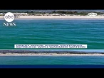 Great white shark sightings increase with warmer waters