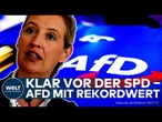 AFD: Rekordwert in Brandenburg! SPD mit Woidke weit zurück – Große Unzufriedenheit mit Koalition