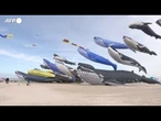 In Francia il cielo si "riempie" di balene, e' record