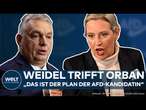 WAHLKAMPF: Alice Weidel trifft Viktor Orbán! Doch der äußert sich skeptisch über die AFD