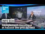 Le dérèglement climatique (en partie) responsable de la hausse des prix du café • FRANCE 24