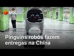 Pinguins robôs são usados como entregadores em cidade na China | O Impensável