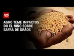 El Niño: Agronegócio teme impactos do fenômeno sobre safra de grãos; entenda | CNN AGRO NEWS