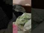 Sorelle scomparse e ritrovate a Formia, tre fermi