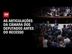 Câmara busca acordo para votar projeto sobre MEI e misoginia antes do recesso | LIVE CNN
