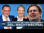 LANDTAGSWAHL SACHSEN: AfD will mit Skandal-Politiker Krah auf mehr als 40 Prozent kommen