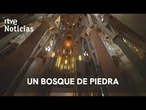 SAGRADA FAMILIA | "GAUDÍ entendió las LEYES NATURALES para APLICARLAS" | RTVE Noticias
