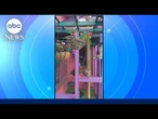Man known as "Catio Guy" builds customized jungle gyms for cats
