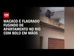 Macaco é flagrado fugindo de apartamento no Rio com bolo em mãos | CNN Prime Time