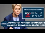 NEUE UMFRAGE: AfD mit Höchstwert in Mecklenburg-Vorpommern! Manuela Schwesigs SPD schmiert ab!
