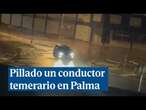 Pillado un temerario haciendo trompos en un polígono de Palma