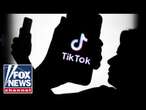 Kevin O’Leary shares ‘only path’ forward for TikTok