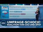 BSW UND AFD: Umfrage-Schock - Das denkt Deutschland über ein Bündnis mit der Union! Civey Umfrage