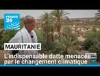 En Mauritanie, l'indispensable datte menacée par le changement climatique • FRANCE 24
