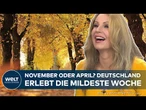 DEUTSCHLAND: Kaum zu glauben! Der November fühlt sich an wie Mai! Diese Wetterkarte überrascht alle!