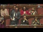 Boccia (Pd): "Gaza è la misura della nostra disumanità, non possiamo restare in silenzio"