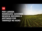Governo negocia socorro a afetados por tarifaço no agro | LIVE CNN