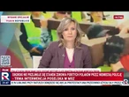 Polacy chceli upamiętnić ofiary Niemców - zostali pobici przez niemiecką policję | W Punkt