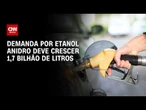 Etanol: Demanda por anidro deve crescer 1,7 bilhão de litros; entenda | CNN PRIME TIME