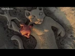 Gattino lanciato nel vuoto, la scultura di sabbia che inverte le parti