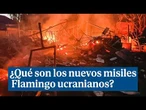 Los nuevos misiles Flamingo de Ucrania: baratos y efectivos contra las refinerías rusas