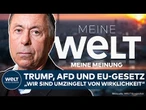 MEINE MEINUNG: „Wir sind umzingelt von Wirklichkeit“ – Analyse zu Trump, AfD und EU-Gesetz