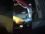 Florida man arrested after caught on video launching fireworks at cars on I-95